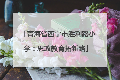 青海省西宁市胜利路小学：思政教育拓新路