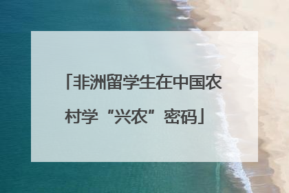 非洲留学生在中国农村学“兴农”密码