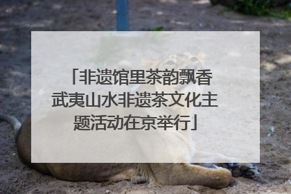 非遗馆里茶韵飘香 武夷山水非遗茶文化主题活动在京举行