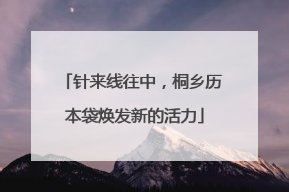 针来线往中，桐乡历本袋焕发新的活力