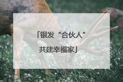 银发“合伙人” 共建幸福家