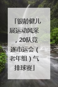 银龄健儿展运动风采，20队竞逐市运会（老年组）气排球赛