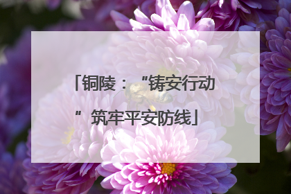 铜陵：“铸安行动”筑牢平安防线