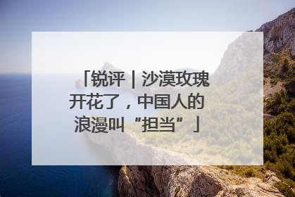 锐评｜沙漠玫瑰开花了，中国人的浪漫叫“担当”
