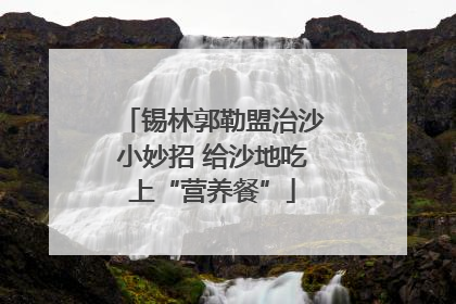 锡林郭勒盟治沙小妙招 给沙地吃上“营养餐”
