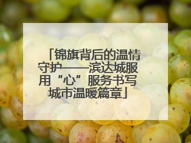 锦旗背后的温情守护——滨达城服用“心”服务书写城市温暖篇章