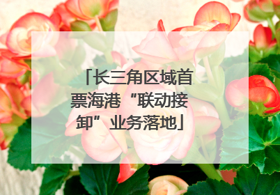 长三角区域首票海港“联动接卸”业务落地