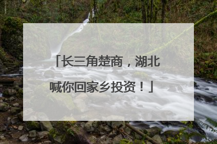 长三角楚商，湖北喊你回家乡投资！