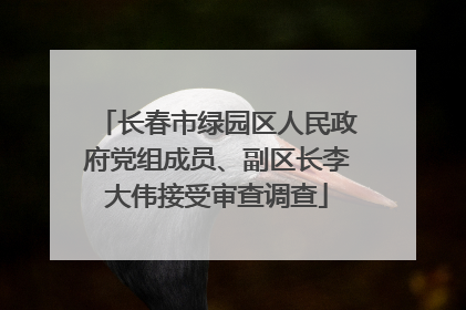 长春市绿园区人民政府党组成员、副区长李大伟接受审查调查