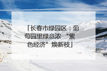 长春市绿园区：葡萄园里绿意浓 “紫色经济”焕新枝