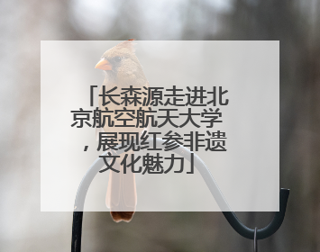 长森源走进北京航空航天大学，展现红参非遗文化魅力