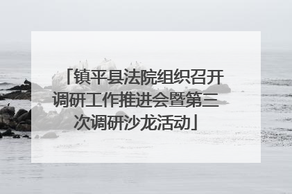 镇平县法院组织召开调研工作推进会暨第三次调研沙龙活动