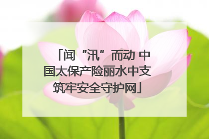 闻“汛”而动 中国太保产险丽水中支筑牢安全守护网