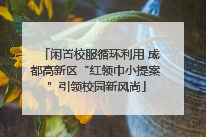闲置校服循环利用 成都高新区“红领巾小提案”引领校园新风尚