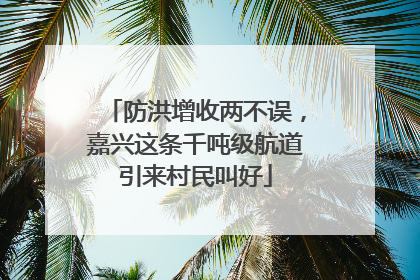 防洪增收两不误，嘉兴这条千吨级航道引来村民叫好