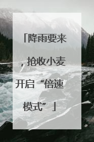 降雨要来，抢收小麦开启“倍速模式”