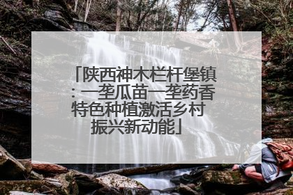 陕西神木栏杆堡镇：一垄瓜苗一垄药香 特色种植激活乡村振兴新动能