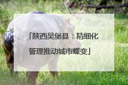 陕西吴堡县：精细化管理推动城市蝶变