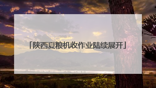 陕西夏粮机收作业陆续展开
