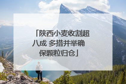 陕西小麦收割超八成 多措并举确保颗粒归仓