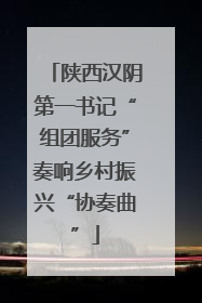 陕西汉阴第一书记“组团服务”奏响乡村振兴“协奏曲”