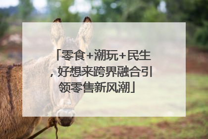 零食+潮玩+民生，好想来跨界融合引领零售新风潮
