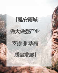 雅安雨城：做大做强产业支撑 推动高质量发展
