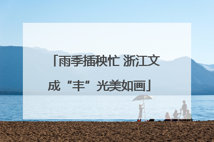雨季插秧忙 浙江文成“丰”光美如画