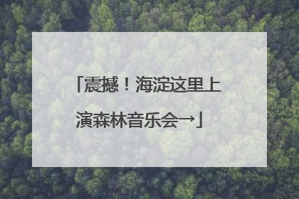 震撼！海淀这里上演森林音乐会→