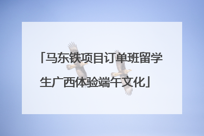 马东铁项目订单班留学生广西体验端午文化
