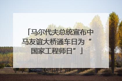 马尔代夫总统宣布中马友谊大桥通车日为“国家工程师日”
