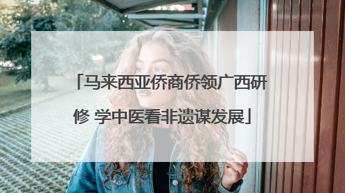 马来西亚侨商侨领广西研修 学中医看非遗谋发展