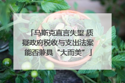 马斯克直言失望 质疑政府税收与支出法案能否兼具“大而美”