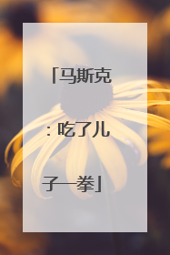 马斯克：吃了儿子一拳