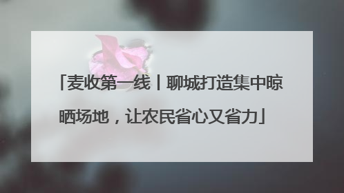 麦收第一线丨聊城打造集中晾晒场地，让农民省心又省力