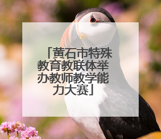 黄石市特殊教育教联体举办教师教学能力大赛