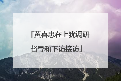 黄喜忠在上犹调研督导和下访接访