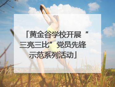黄金谷学校开展“三亮三比”党员先锋示范系列活动