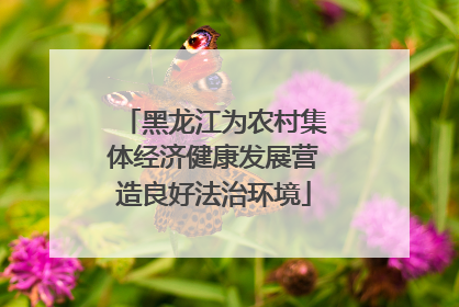黑龙江为农村集体经济健康发展营造良好法治环境
