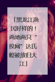 黑龙江渔民好样的！两地两只“投网”达氏鳇被放归大江