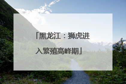 黑龙江：狮虎进入繁殖高峰期