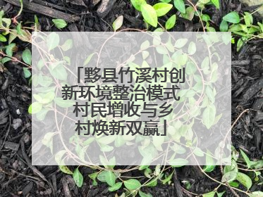 黟县竹溪村创新环境整治模式 村民增收与乡村焕新双赢