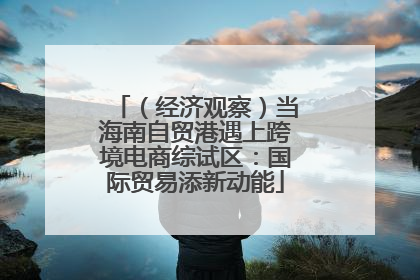 （经济观察）当海南自贸港遇上跨境电商综试区：国际贸易添新动能