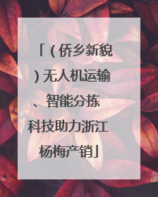 （侨乡新貌）无人机运输、智能分拣 科技助力浙江杨梅产销