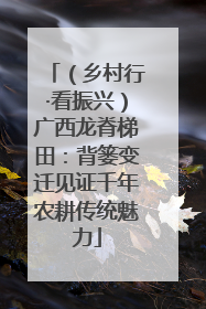 （乡村行·看振兴）广西龙脊梯田：背篓变迁见证千年农耕传统魅力