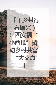 （乡村行·看振兴）江西安福“小西瓜”撬动乡村共富“大支点”