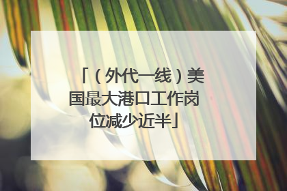 （外代一线）美国最大港口工作岗位减少近半
