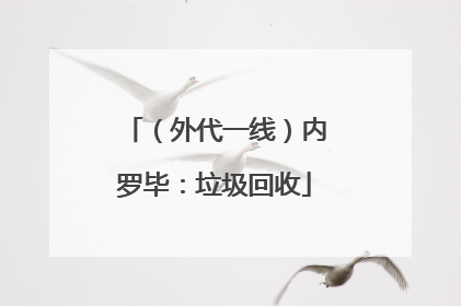 （外代一线）内罗毕：垃圾回收