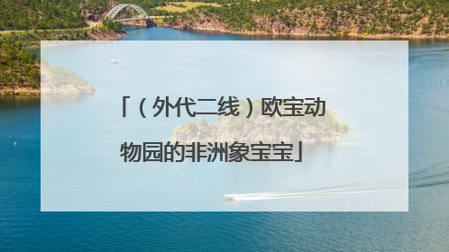 （外代二线）欧宝动物园的非洲象宝宝
