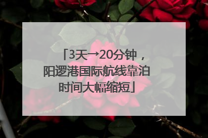 3天→20分钟，阳逻港国际航线靠泊时间大幅缩短